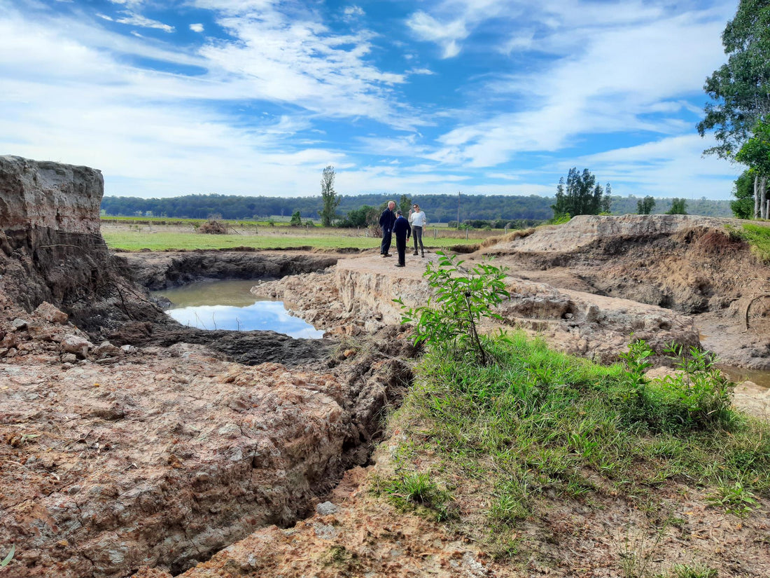 FIX BUNGAWALBYN LEVEE